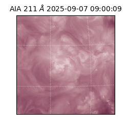 saia - 2025-09-07T09:00:09.632000