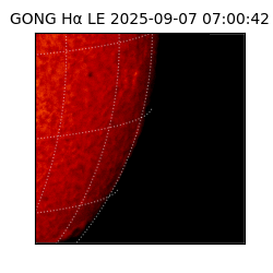 gong - 2025-09-07T07:00:42