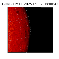 gong - 2025-09-07T08:00:42