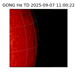 gong - 2025-09-07T11:00:22