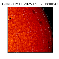 gong - 2025-09-07T08:00:42