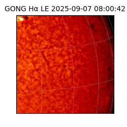 gong - 2025-09-07T08:00:42