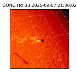 gong - 2025-09-07T21:00:02
