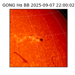 gong - 2025-09-07T22:00:02