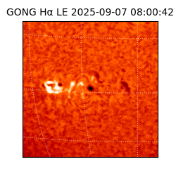 gong - 2025-09-07T08:00:42