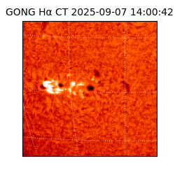 gong - 2025-09-07T14:00:42