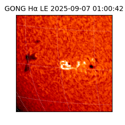 gong - 2025-09-07T01:00:42