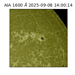 saia - 2025-09-08T14:00:14.126000
