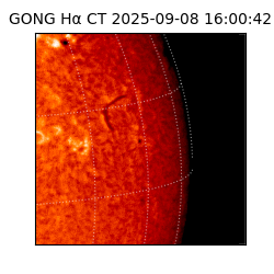 gong - 2025-09-08T16:00:42