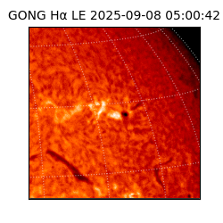 gong - 2025-09-08T05:00:42