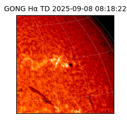 gong - 2025-09-08T08:18:22
