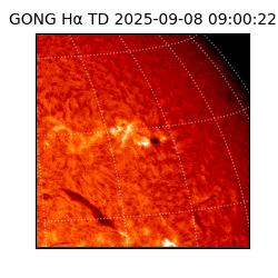 gong - 2025-09-08T09:00:22