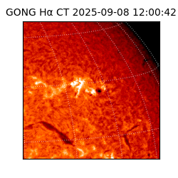 gong - 2025-09-08T12:00:42