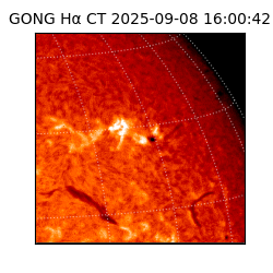 gong - 2025-09-08T16:00:42