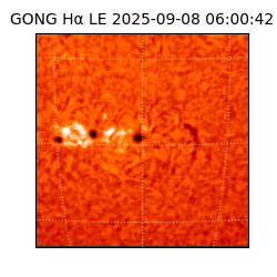 gong - 2025-09-08T06:00:42