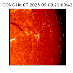gong - 2025-09-08T21:00:42