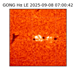 gong - 2025-09-08T07:00:42