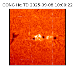 gong - 2025-09-08T10:00:22