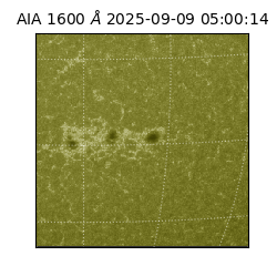 saia - 2025-09-09T05:00:14.133000
