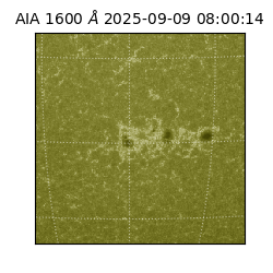 saia - 2025-09-09T08:00:14.125000