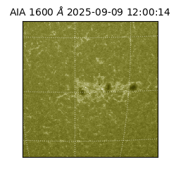 saia - 2025-09-09T12:00:14.133000