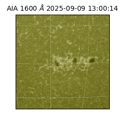 saia - 2025-09-09T13:00:14.126000
