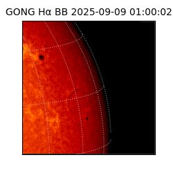 gong - 2025-09-09T01:00:02