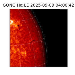 gong - 2025-09-09T04:00:42