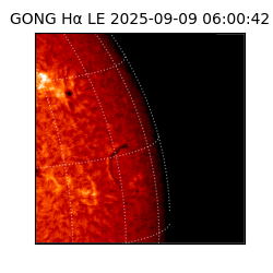 gong - 2025-09-09T06:00:42
