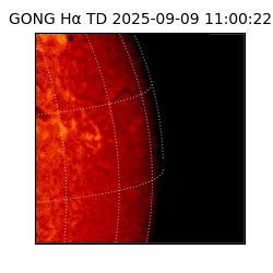 gong - 2025-09-09T11:00:22