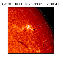 gong - 2025-09-09T02:00:42
