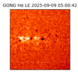 gong - 2025-09-09T05:00:42