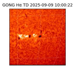 gong - 2025-09-09T10:00:22