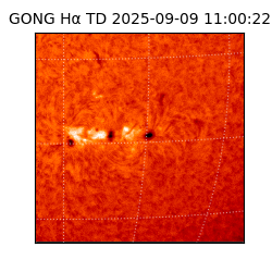 gong - 2025-09-09T11:00:22