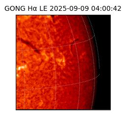 gong - 2025-09-09T04:00:42