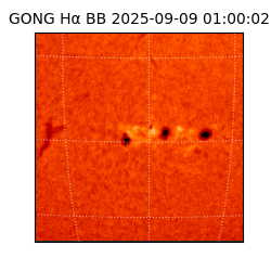 gong - 2025-09-09T01:00:02