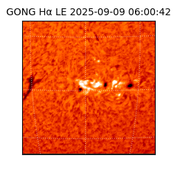 gong - 2025-09-09T06:00:42