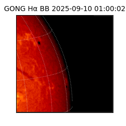 gong - 2025-09-10T01:00:02