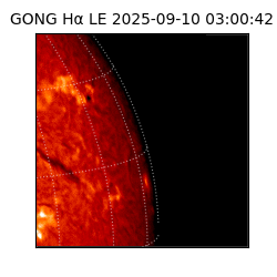 gong - 2025-09-10T03:00:42