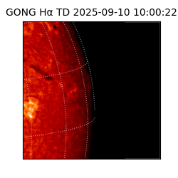 gong - 2025-09-10T10:00:22