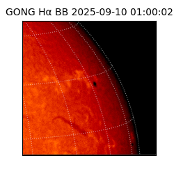 gong - 2025-09-10T01:00:02