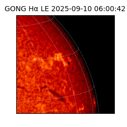gong - 2025-09-10T06:00:42