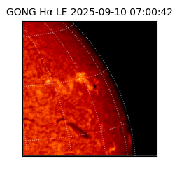 gong - 2025-09-10T07:00:42