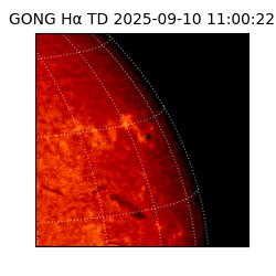 gong - 2025-09-10T11:00:22