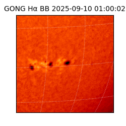 gong - 2025-09-10T01:00:02