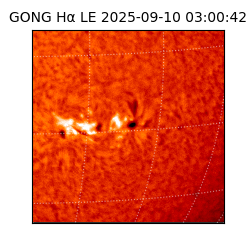 gong - 2025-09-10T03:00:42