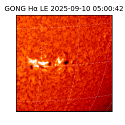 gong - 2025-09-10T05:00:42