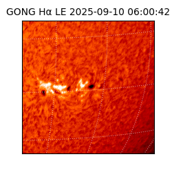 gong - 2025-09-10T06:00:42