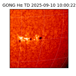 gong - 2025-09-10T10:00:22