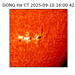 gong - 2025-09-10T16:00:42